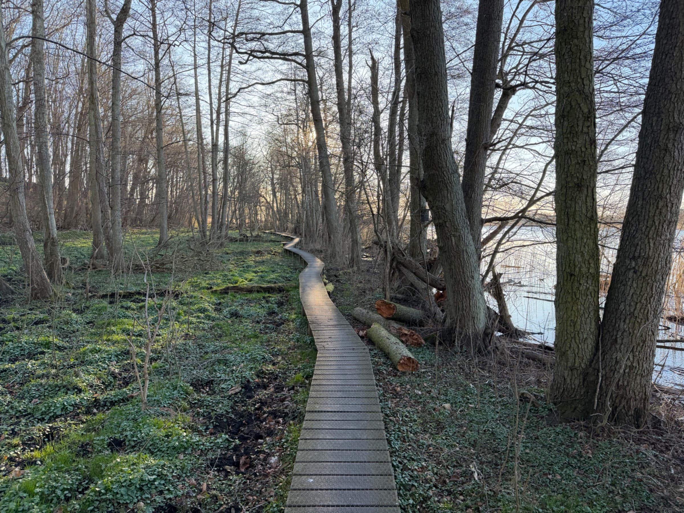 Gundsømagle sø